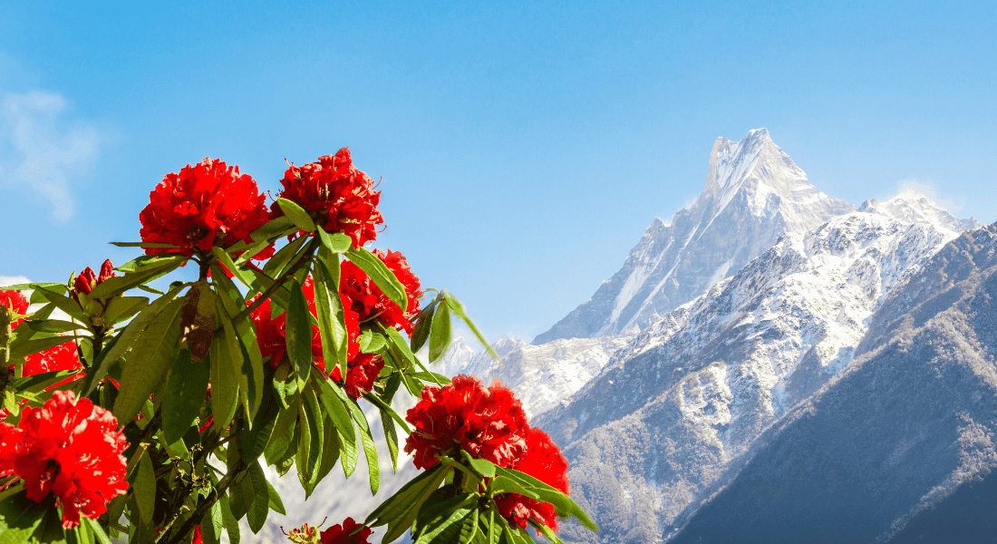 Nepal is one of the best destination for tourist